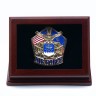 US Air Force Lapel Pin with Display Case